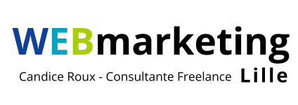 cours de webmarketing