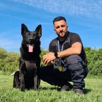 agent cynophile formation