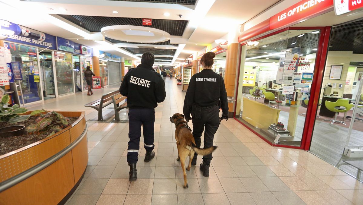 agent securite magasin